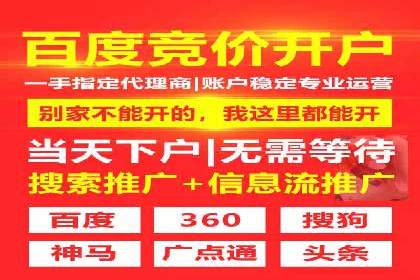 解析sem代运营公司经典案例：如何实现ROI最大化